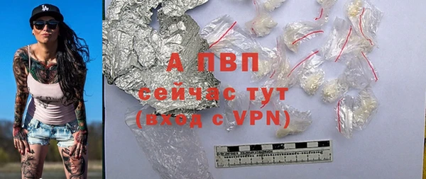 СК Гусев