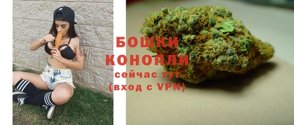 стафф Гусь-Хрустальный